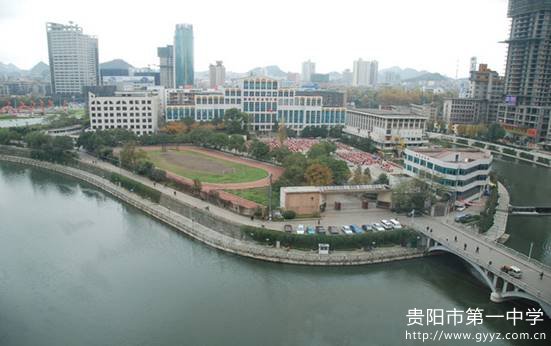 clip_image003.jpg 说明: medish