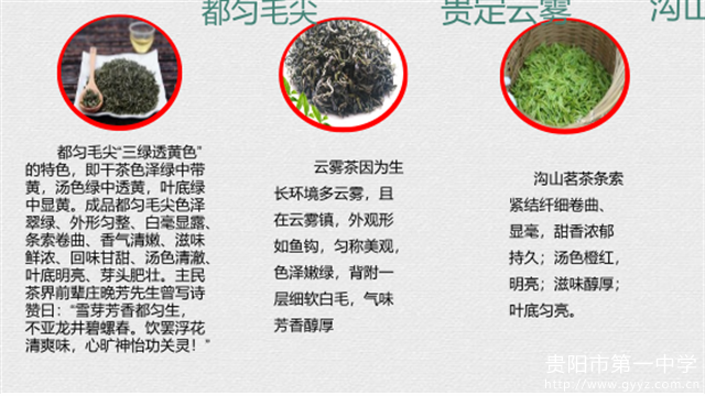 3黔南茶文化-调查报告385.png