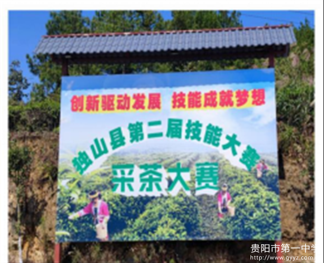 3黔南茶文化-调查报告1503.png